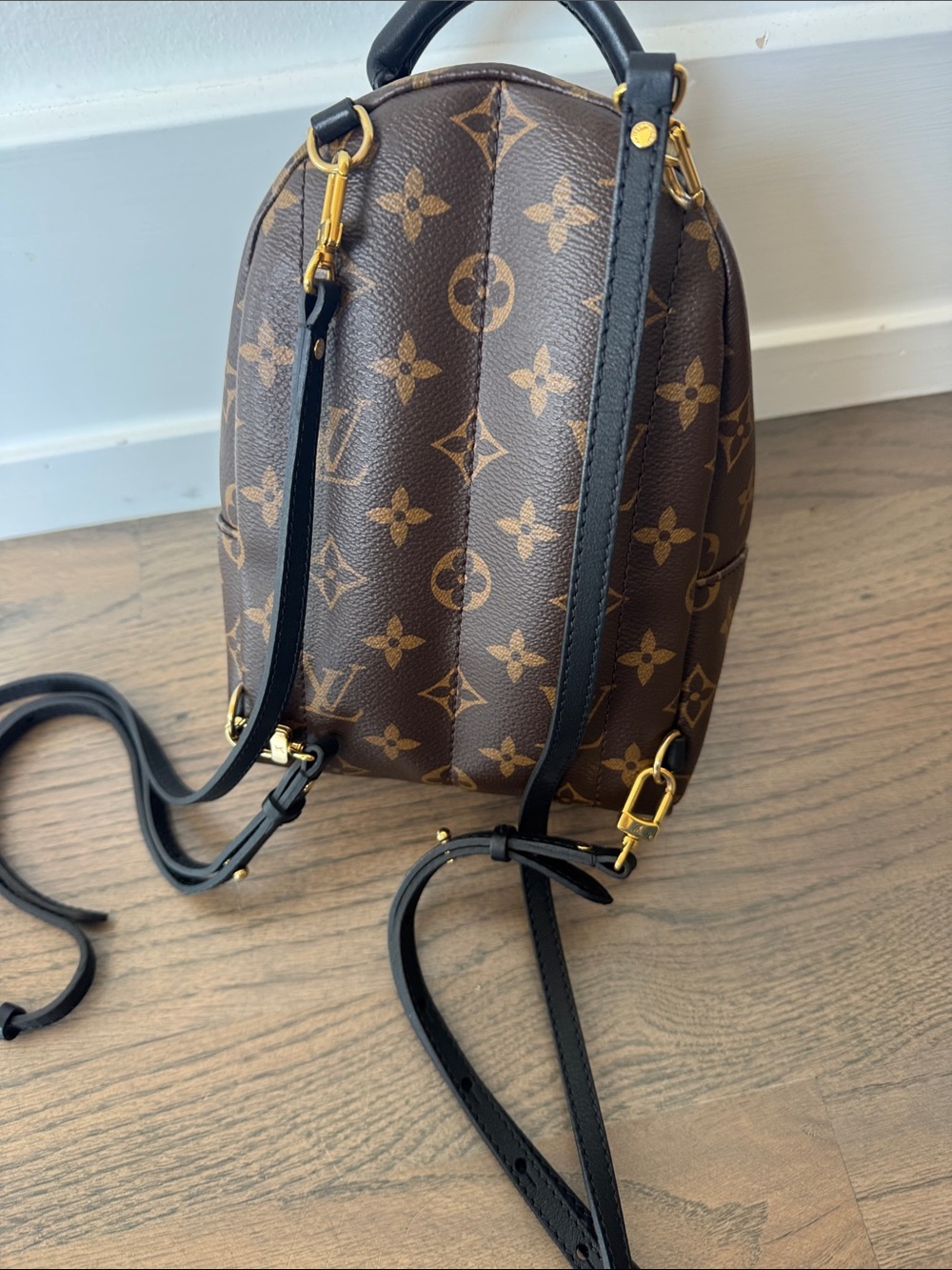 Louis Vuitton Mini Palm Springs Backpack in Brown with Gold Monogram - Picture 2 of 4